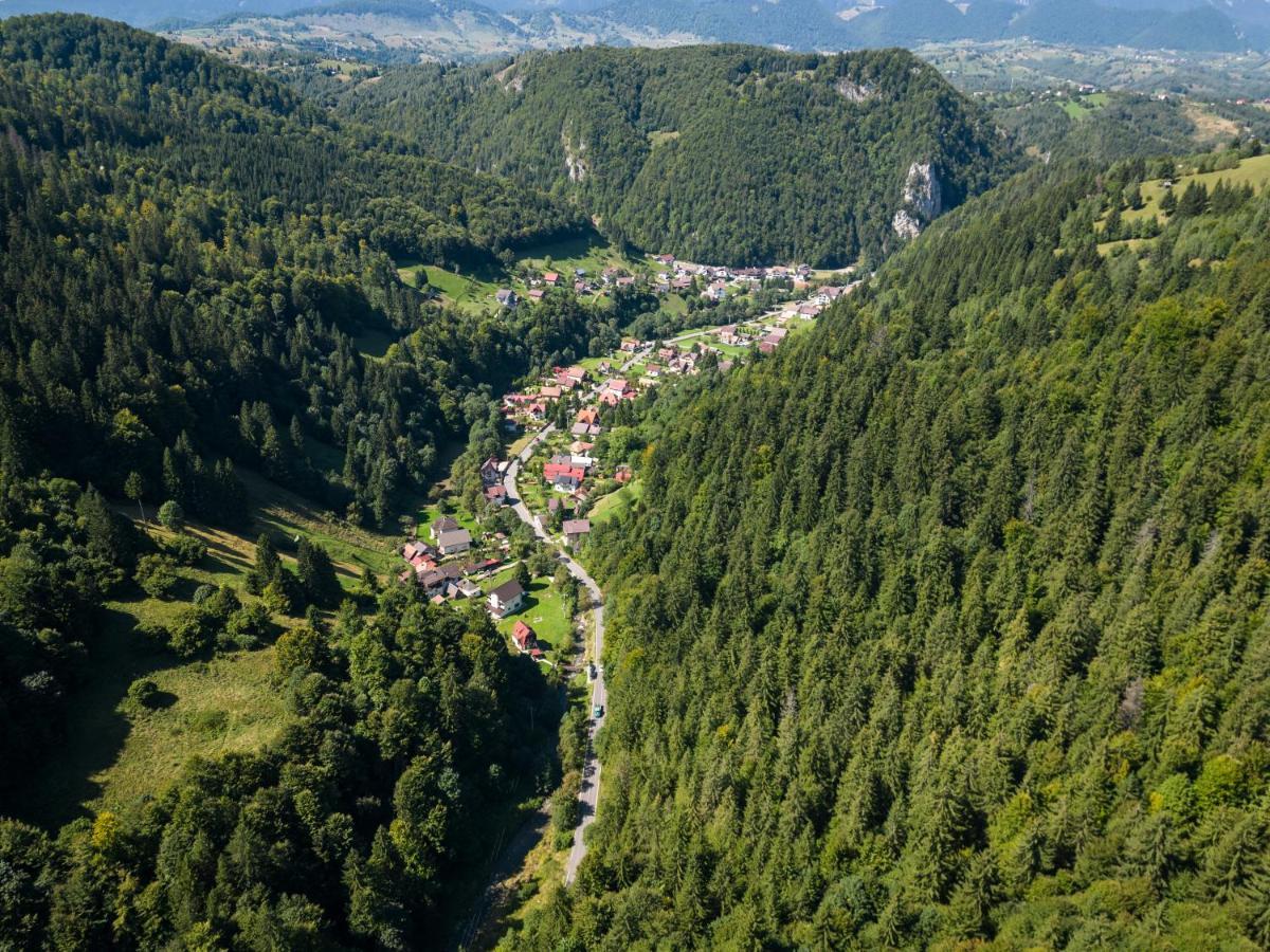 Oasis Mountain Villa Brașov Exterior foto