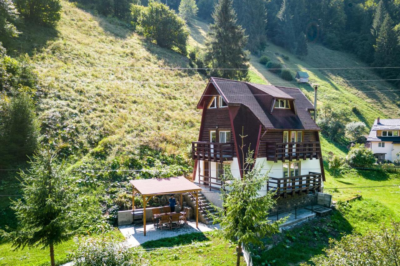Oasis Mountain Villa Brașov Exterior foto